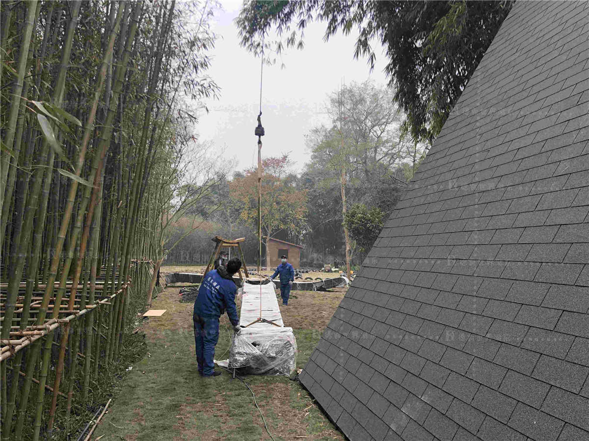 熊猫体育游乐