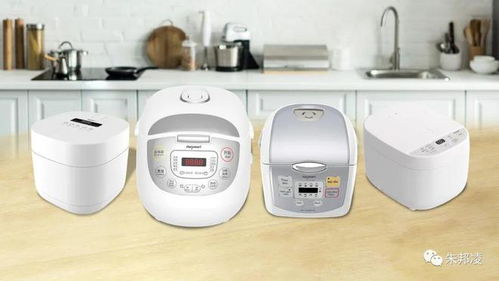 鸿智科技 厨房小家电外销为主,15倍发行能否申购